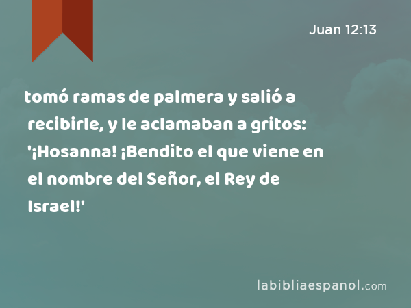 tomó ramas de palmera y salió a recibirle, y le aclamaban a gritos: '¡Hosanna! ¡Bendito el que viene en el nombre del Señor, el Rey de Israel!' - Juan 12:13