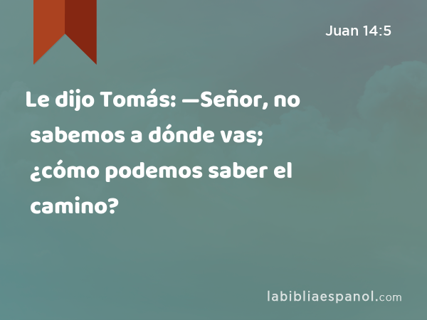 Le dijo Tomás: —Señor, no sabemos a dónde vas; ¿cómo podemos saber el camino? - Juan 14:5