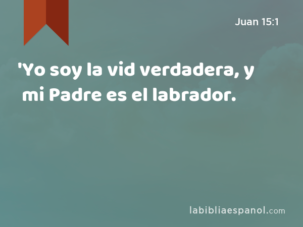 'Yo soy la vid verdadera, y mi Padre es el labrador. - Juan 15:1