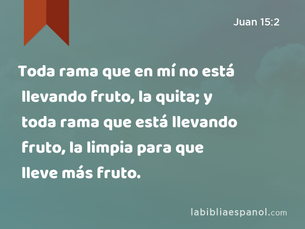 Toda rama que en mí no está llevando fruto, la quita; y toda rama que está llevando fruto, la limpia para que lleve más fruto. - Juan 15:2