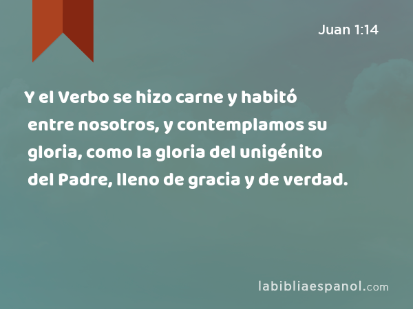 Y el Verbo se hizo carne y habitó entre nosotros, y contemplamos su gloria, como la gloria del unigénito del Padre, lleno de gracia y de verdad. - Juan 1:14