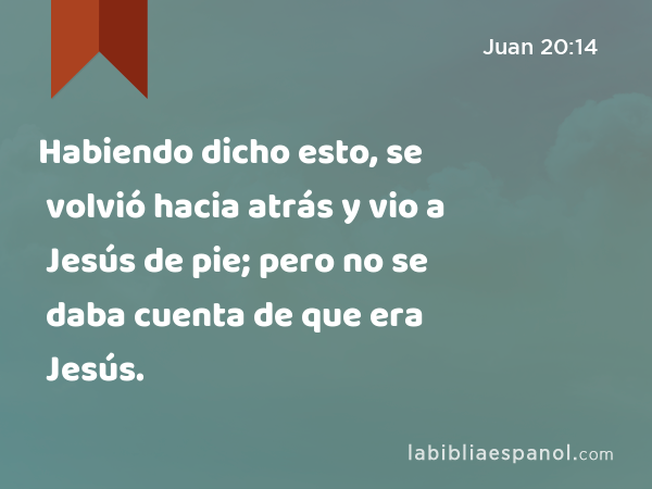 Habiendo dicho esto, se volvió hacia atrás y vio a Jesús de pie; pero no se daba cuenta de que era Jesús. - Juan 20:14