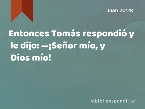 Entonces Tomás respondió y le dijo: —¡Señor mío, y Dios mío! - Juan 20:28