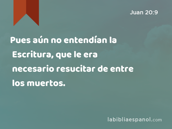 Pues aún no entendían la Escritura, que le era necesario resucitar de entre los muertos. - Juan 20:9