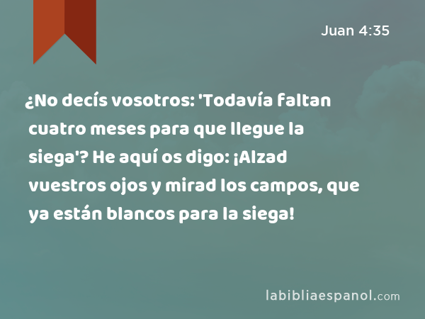 ¿No decís vosotros: 'Todavía faltan cuatro meses para que llegue la siega'? He aquí os digo: ¡Alzad vuestros ojos y mirad los campos, que ya están blancos para la siega! - Juan 4:35