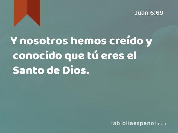 Y nosotros hemos creído y conocido que tú eres el Santo de Dios. - Juan 6:69