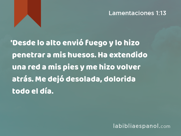 'Desde lo alto envió fuego y lo hizo penetrar a mis huesos. Ha extendido una red a mis pies y me hizo volver atrás. Me dejó desolada, dolorida todo el día. - Lamentaciones 1:13