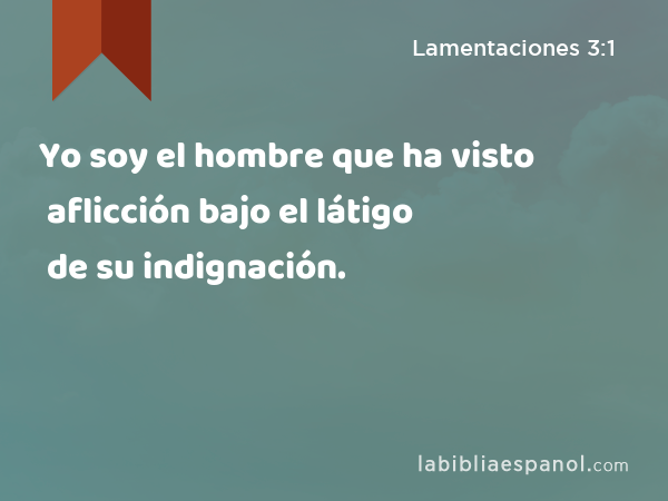 Yo soy el hombre que ha visto aflicción bajo el látigo de su indignación. - Lamentaciones 3:1