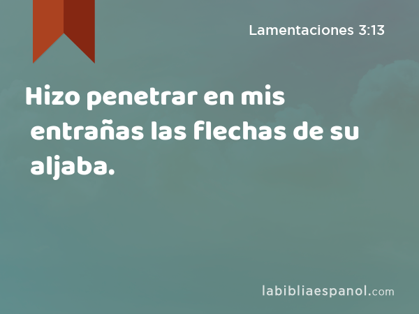 Hizo penetrar en mis entrañas las flechas de su aljaba. - Lamentaciones 3:13