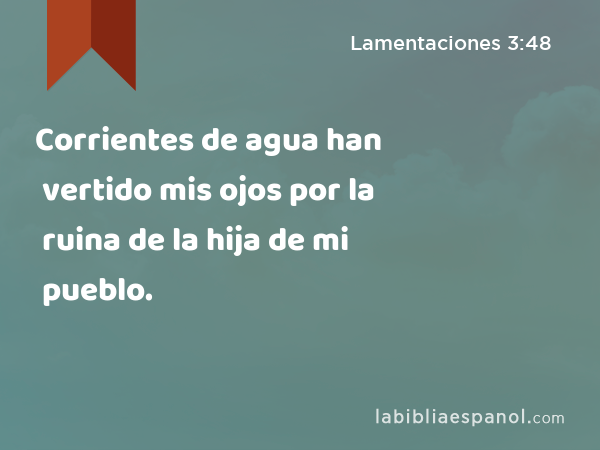 Corrientes de agua han vertido mis ojos por la ruina de la hija de mi pueblo. - Lamentaciones 3:48