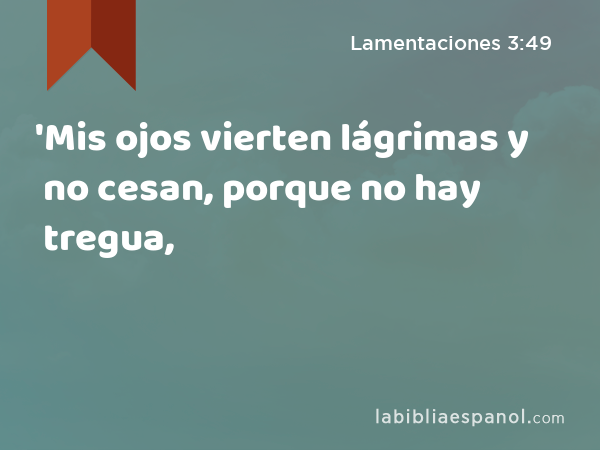 'Mis ojos vierten lágrimas y no cesan, porque no hay tregua, - Lamentaciones 3:49