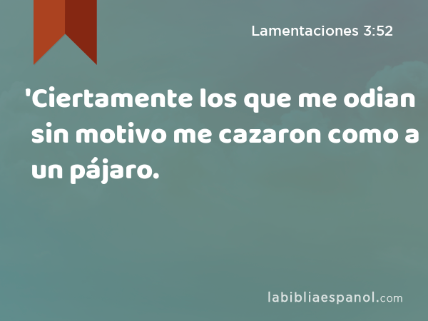 'Ciertamente los que me odian sin motivo me cazaron como a un pájaro. - Lamentaciones 3:52