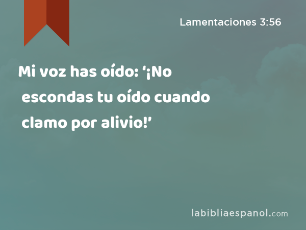 Mi voz has oído: ‘¡No escondas tu oído cuando clamo por alivio!’ - Lamentaciones 3:56