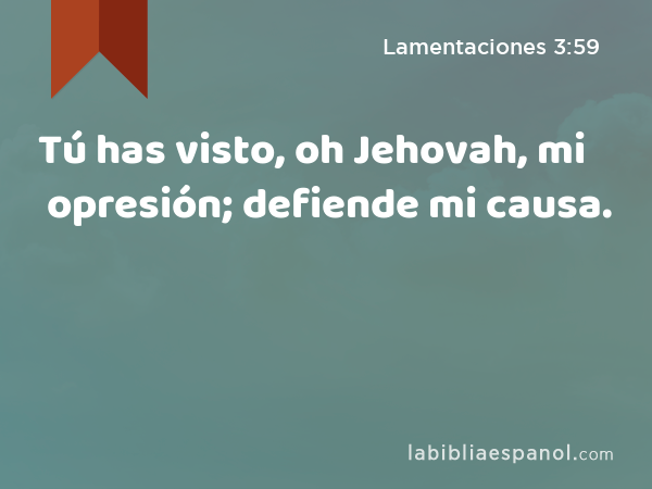 Tú has visto, oh Jehovah, mi opresión; defiende mi causa. - Lamentaciones 3:59