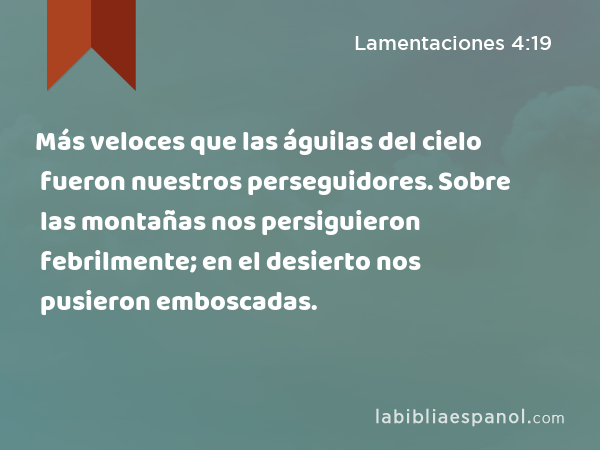 Más veloces que las águilas del cielo fueron nuestros perseguidores. Sobre las montañas nos persiguieron febrilmente; en el desierto nos pusieron emboscadas. - Lamentaciones 4:19