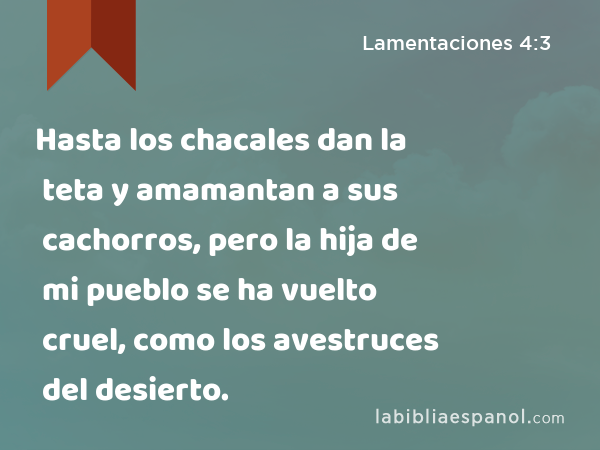 Hasta los chacales dan la teta y amamantan a sus cachorros, pero la hija de mi pueblo se ha vuelto cruel, como los avestruces del desierto. - Lamentaciones 4:3