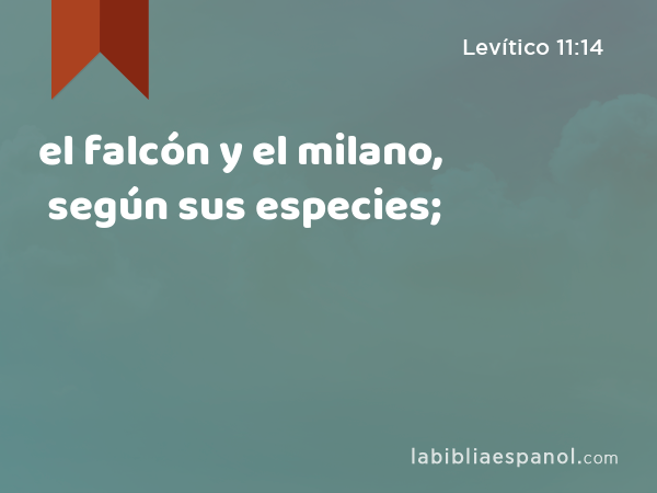 el falcón y el milano, según sus especies; - Levítico 11:14