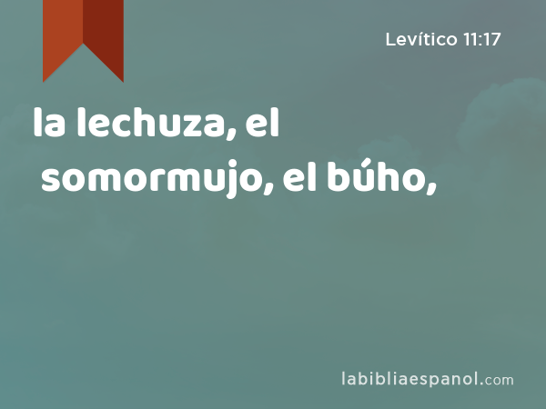 la lechuza, el somormujo, el búho, - Levítico 11:17