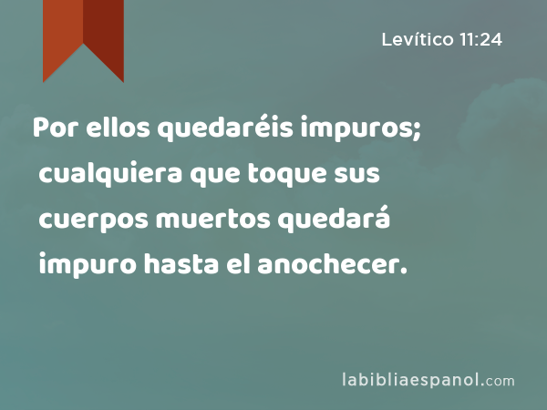 Por ellos quedaréis impuros; cualquiera que toque sus cuerpos muertos quedará impuro hasta el anochecer. - Levítico 11:24