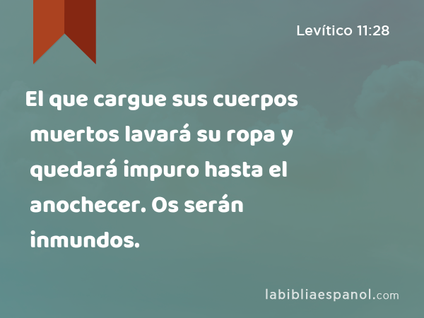 El que cargue sus cuerpos muertos lavará su ropa y quedará impuro hasta el anochecer. Os serán inmundos. - Levítico 11:28