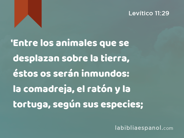 'Entre los animales que se desplazan sobre la tierra, éstos os serán inmundos: la comadreja, el ratón y la tortuga, según sus especies; - Levítico 11:29