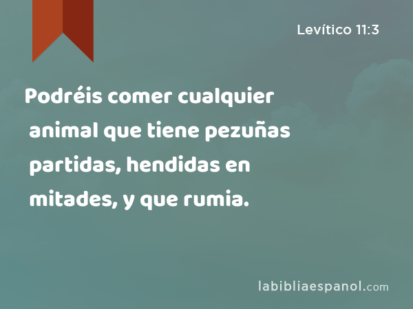 Podréis comer cualquier animal que tiene pezuñas partidas, hendidas en mitades, y que rumia. - Levítico 11:3