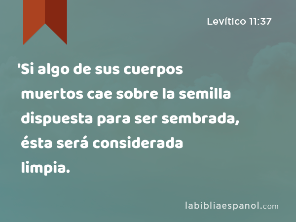 'Si algo de sus cuerpos muertos cae sobre la semilla dispuesta para ser sembrada, ésta será considerada limpia. - Levítico 11:37