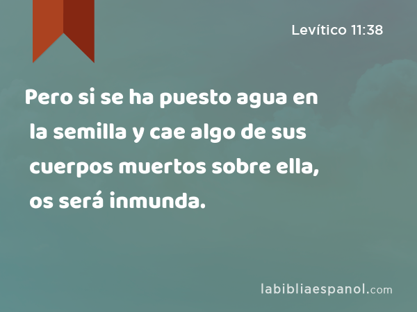 Pero si se ha puesto agua en la semilla y cae algo de sus cuerpos muertos sobre ella, os será inmunda. - Levítico 11:38