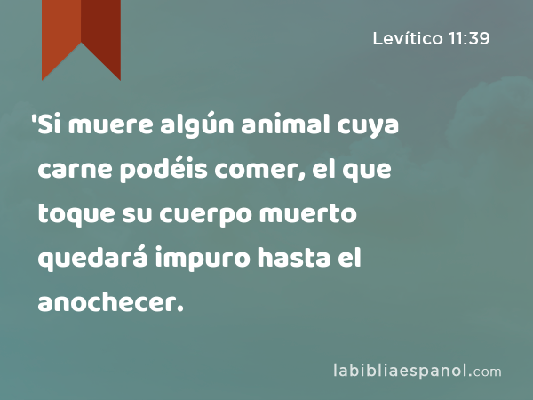 'Si muere algún animal cuya carne podéis comer, el que toque su cuerpo muerto quedará impuro hasta el anochecer. - Levítico 11:39