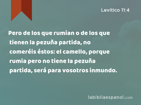 Pero de los que rumian o de los que tienen la pezuña partida, no comeréis éstos: el camello, porque rumia pero no tiene la pezuña partida, será para vosotros inmundo. - Levítico 11:4