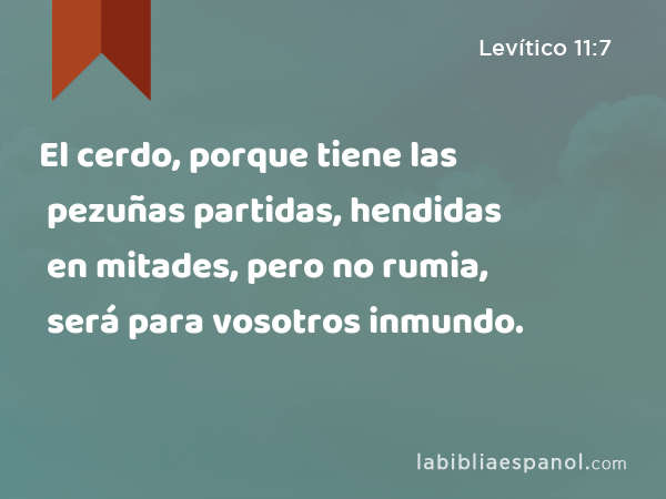 El cerdo, porque tiene las pezuñas partidas, hendidas en mitades, pero no rumia, será para vosotros inmundo. - Levítico 11:7