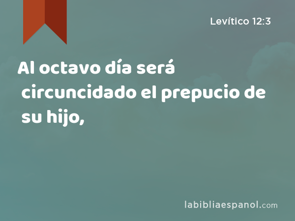 Al octavo día será circuncidado el prepucio de su hijo, - Levítico 12:3