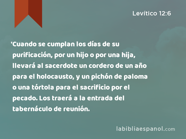 'Cuando se cumplan los días de su purificación, por un hijo o por una hija, llevará al sacerdote un cordero de un año para el holocausto, y un pichón de paloma o una tórtola para el sacrificio por el pecado. Los traerá a la entrada del tabernáculo de reunión. - Levítico 12:6