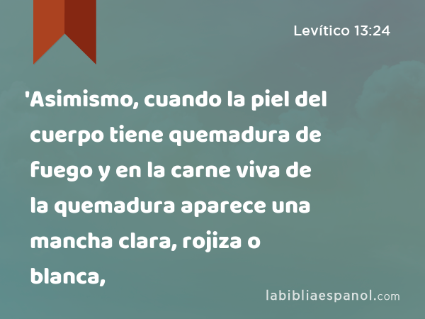 'Asimismo, cuando la piel del cuerpo tiene quemadura de fuego y en la carne viva de la quemadura aparece una mancha clara, rojiza o blanca, - Levítico 13:24