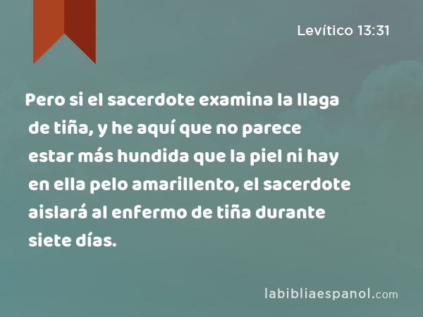 Pero si el sacerdote examina la llaga de tiña, y he aquí que no parece estar más hundida que la piel ni hay en ella pelo amarillento, el sacerdote aislará al enfermo de tiña durante siete días. - Levítico 13:31