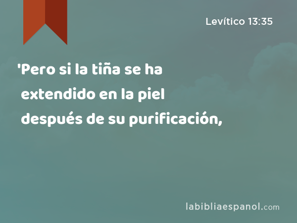 'Pero si la tiña se ha extendido en la piel después de su purificación, - Levítico 13:35