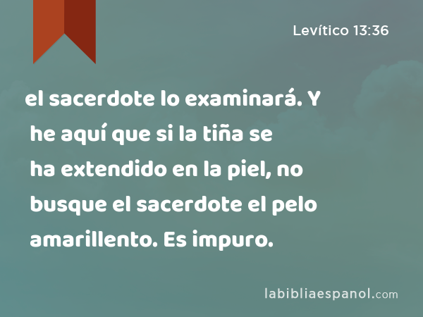 el sacerdote lo examinará. Y he aquí que si la tiña se ha extendido en la piel, no busque el sacerdote el pelo amarillento. Es impuro. - Levítico 13:36