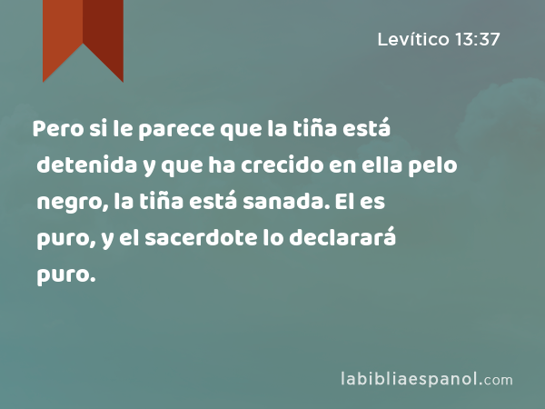 Pero si le parece que la tiña está detenida y que ha crecido en ella pelo negro, la tiña está sanada. El es puro, y el sacerdote lo declarará puro. - Levítico 13:37