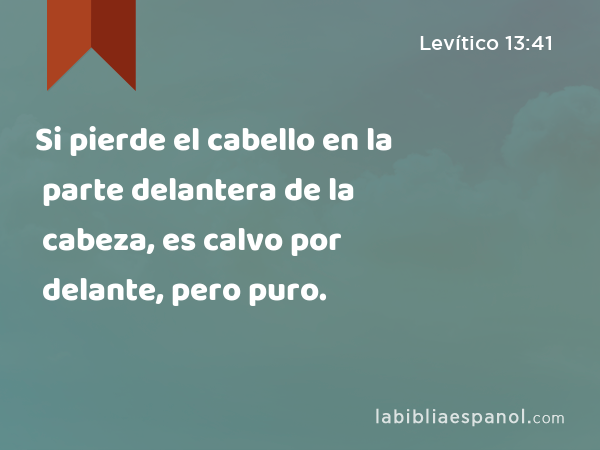 Si pierde el cabello en la parte delantera de la cabeza, es calvo por delante, pero puro. - Levítico 13:41