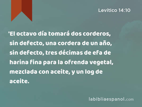 'El octavo día tomará dos corderos, sin defecto, una cordera de un año, sin defecto, tres décimas de efa de harina fina para la ofrenda vegetal, mezclada con aceite, y un log de aceite. - Levítico 14:10