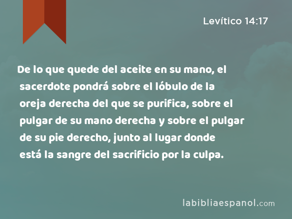 De lo que quede del aceite en su mano, el sacerdote pondrá sobre el lóbulo de la oreja derecha del que se purifica, sobre el pulgar de su mano derecha y sobre el pulgar de su pie derecho, junto al lugar donde está la sangre del sacrificio por la culpa. - Levítico 14:17