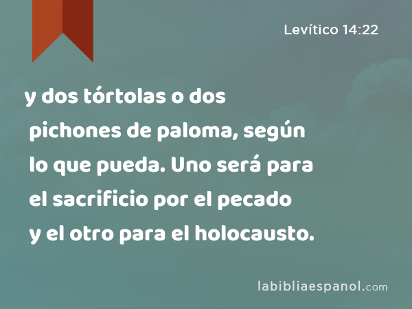 y dos tórtolas o dos pichones de paloma, según lo que pueda. Uno será para el sacrificio por el pecado y el otro para el holocausto. - Levítico 14:22