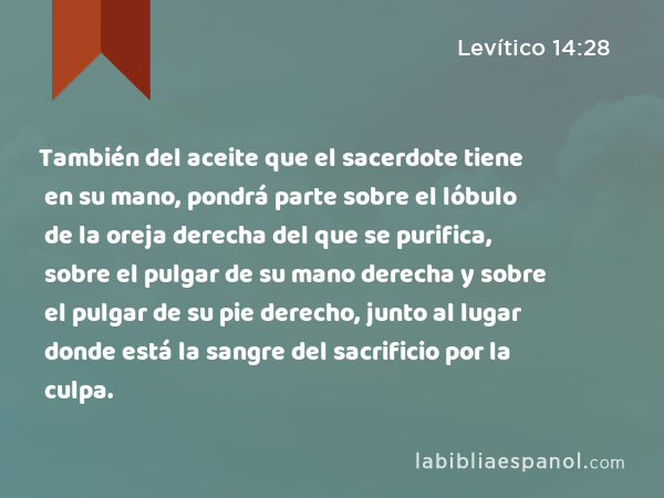 También del aceite que el sacerdote tiene en su mano, pondrá parte sobre el lóbulo de la oreja derecha del que se purifica, sobre el pulgar de su mano derecha y sobre el pulgar de su pie derecho, junto al lugar donde está la sangre del sacrificio por la culpa. - Levítico 14:28