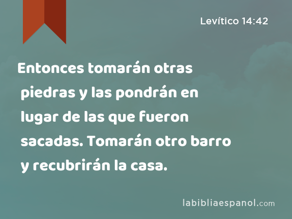 Entonces tomarán otras piedras y las pondrán en lugar de las que fueron sacadas. Tomarán otro barro y recubrirán la casa. - Levítico 14:42