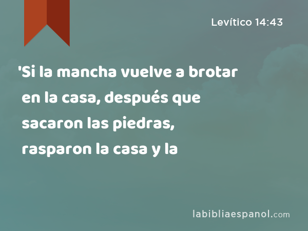 'Si la mancha vuelve a brotar en la casa, después que sacaron las piedras, rasparon la casa y la - Levítico 14:43