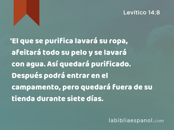 'El que se purifica lavará su ropa, afeitará todo su pelo y se lavará con agua. Así quedará purificado. Después podrá entrar en el campamento, pero quedará fuera de su tienda durante siete días. - Levítico 14:8