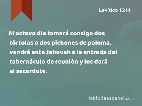 Al octavo día tomará consigo dos tórtolas o dos pichones de paloma, vendrá ante Jehovah a la entrada del tabernáculo de reunión y los dará al sacerdote. - Levítico 15:14