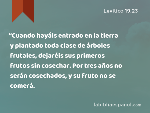 '‘Cuando hayáis entrado en la tierra y plantado toda clase de árboles frutales, dejaréis sus primeros frutos sin cosechar. Por tres años no serán cosechados, y su fruto no se comerá. - Levítico 19:23