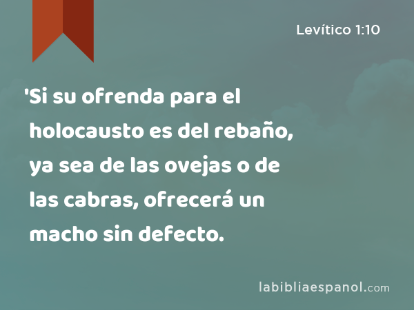 'Si su ofrenda para el holocausto es del rebaño, ya sea de las ovejas o de las cabras, ofrecerá un macho sin defecto. - Levítico 1:10