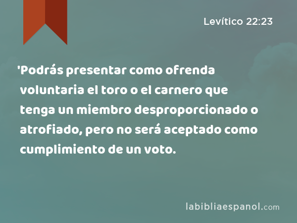 'Podrás presentar como ofrenda voluntaria el toro o el carnero que tenga un miembro desproporcionado o atrofiado, pero no será aceptado como cumplimiento de un voto. - Levítico 22:23